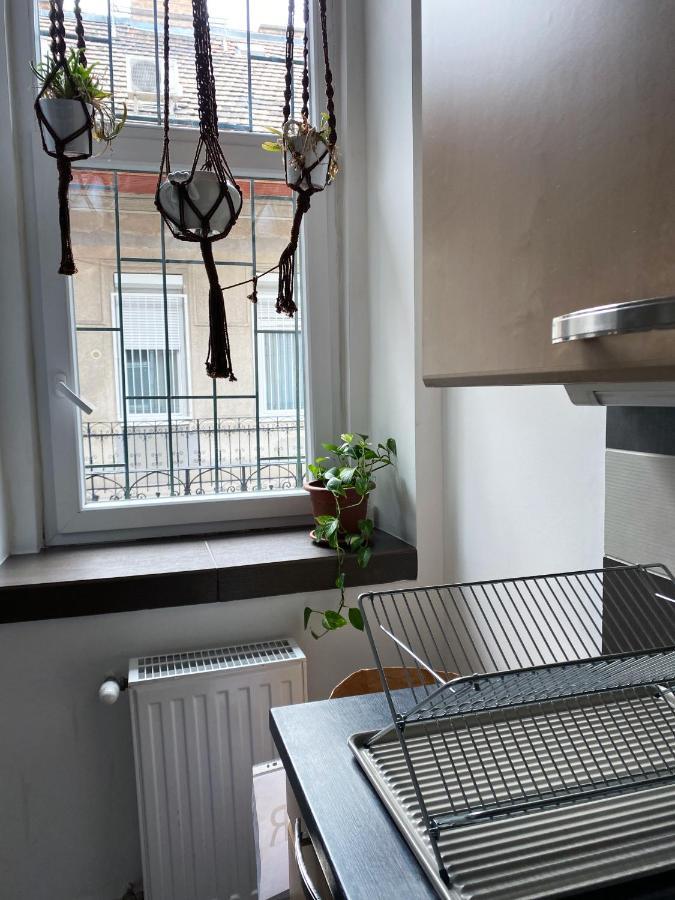 Awesome In The Appartement